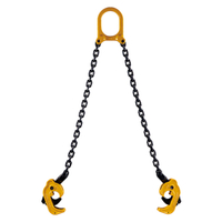 Heavy Duty SL Drum Clamp Capacity 1 Ton for Lifting Equipment