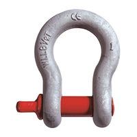 G209 High Strength Screw Pin Bow Shackle for Rigging and Crane Applications