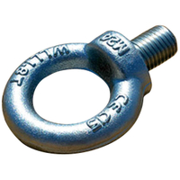 Eye Bolt