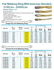 Flat Webbing Sling With American Standard