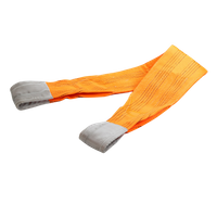 10T Flat Webbing Sling 