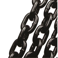 EN818-7 Hoist Chains