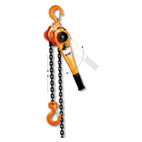 Manual Lever Hoist 0.25Ton - 9Ton with G80 Load Chain & Reinforced Hook