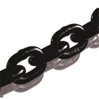 G80 Lifting Chain EN818-2 for Crane and Marine Applications