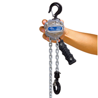 0.25 Ton Chain Block Hoist Marine Crane Hardware for Excellent Lifting Solution