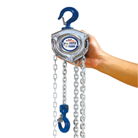  250KG Chain Block Hoist Heavy Duty Construction Tools For Lifting Equipment